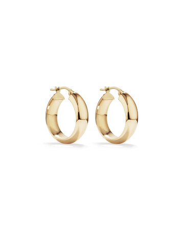 Hoop Earrings in 10ct Yellow Gold Hoop Earrings in 10ct Yellow Gold