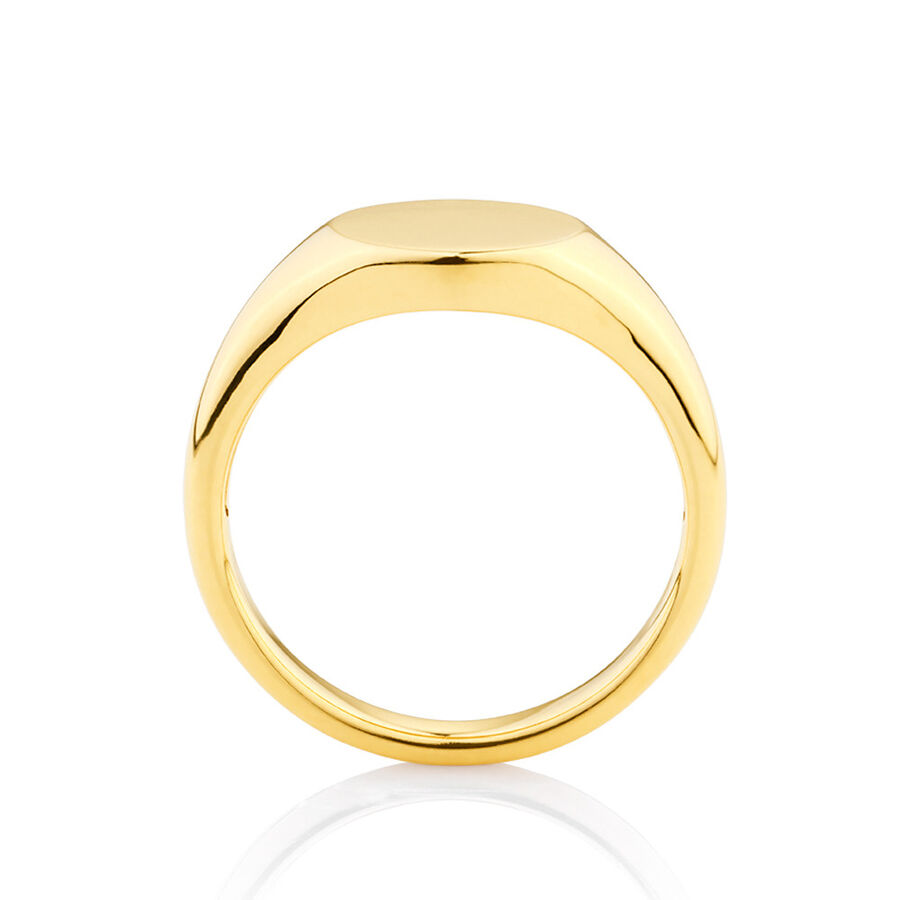 Circle Signet Ring in 10ct Yellow Gold