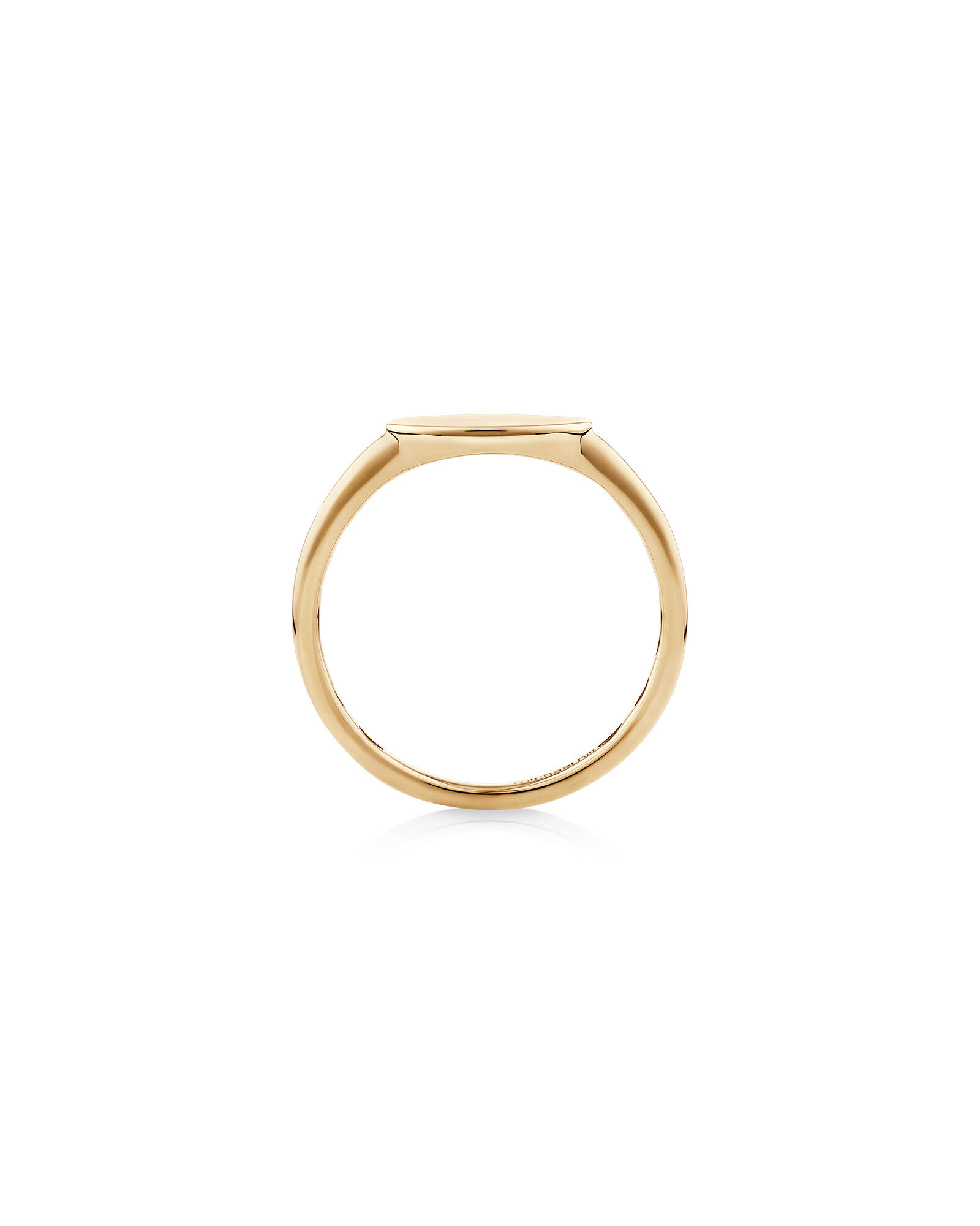 Oval Signet Ring in 10kt Yellow Gold