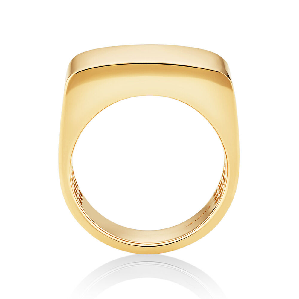 Men s Signet Ring in 10kt Yellow Gold