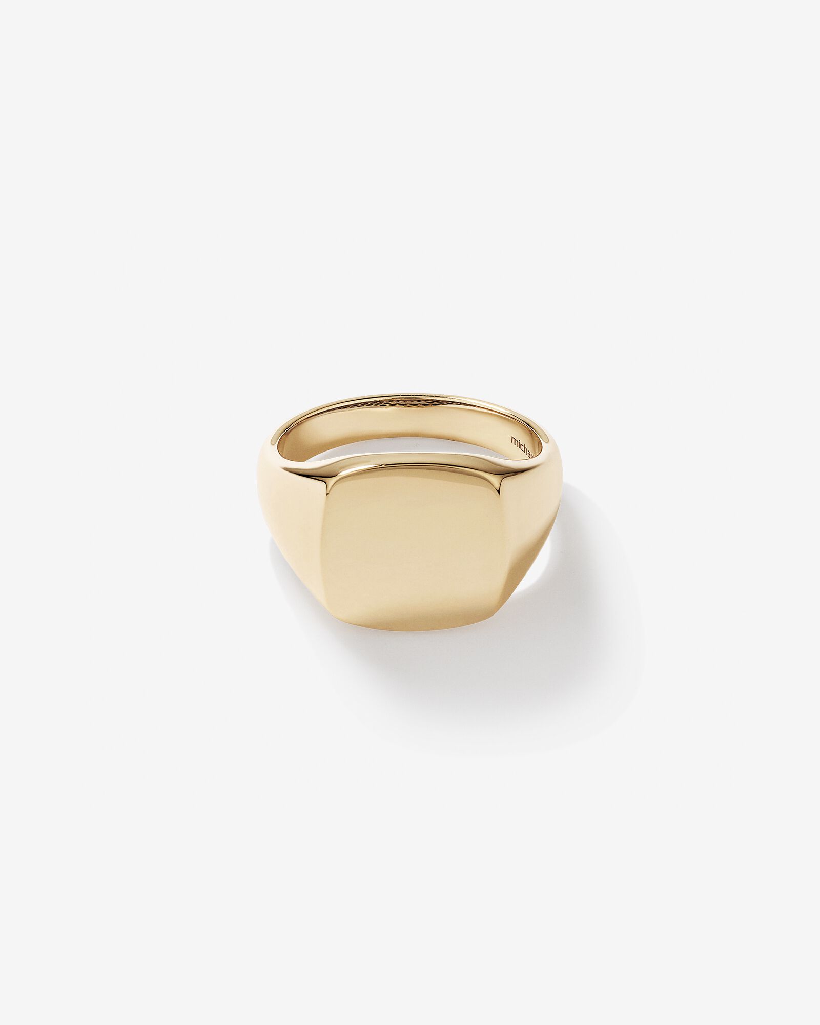 Men's Signet Ring in 10kt Yellow Gold