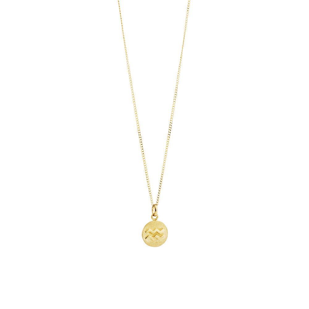 Aquarius Zodiac Pendant in 10ct Yellow Gold