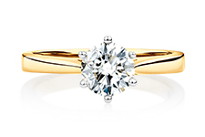 Prelude by Michael Hill